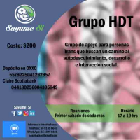 Grupo HDT